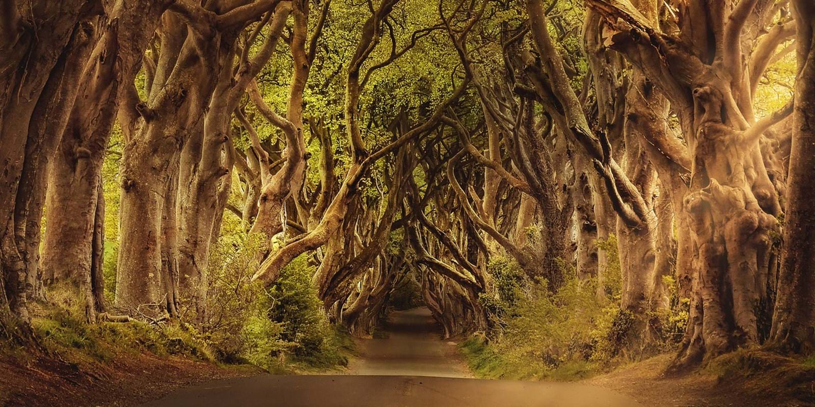 Do you have a right of way? - It is preferable to use it, so as not to lose it