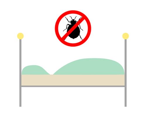 How can I ensure that bed bugs will not return