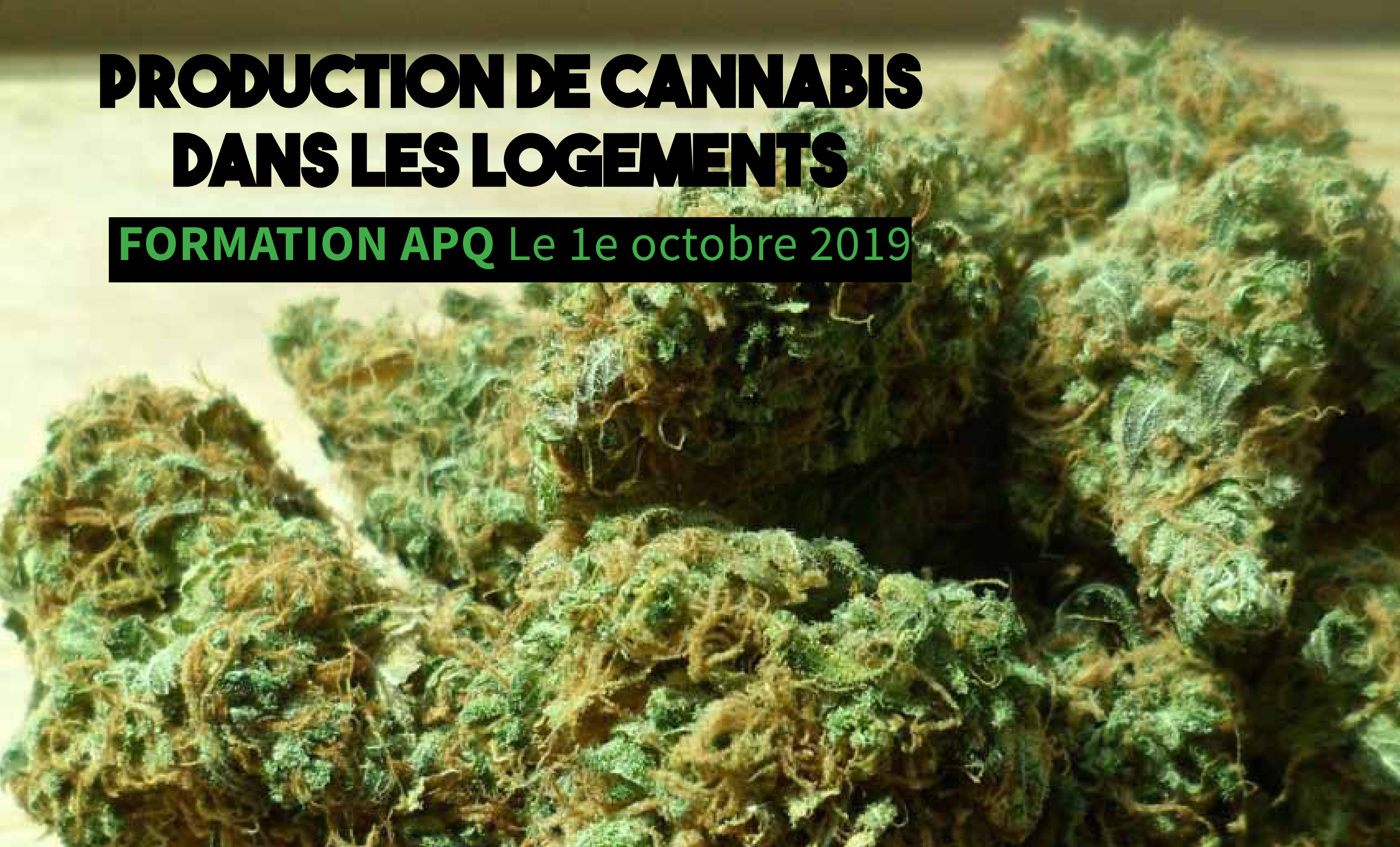Cannabis, Jugement qui autorise la production dans nos logements, que faire?