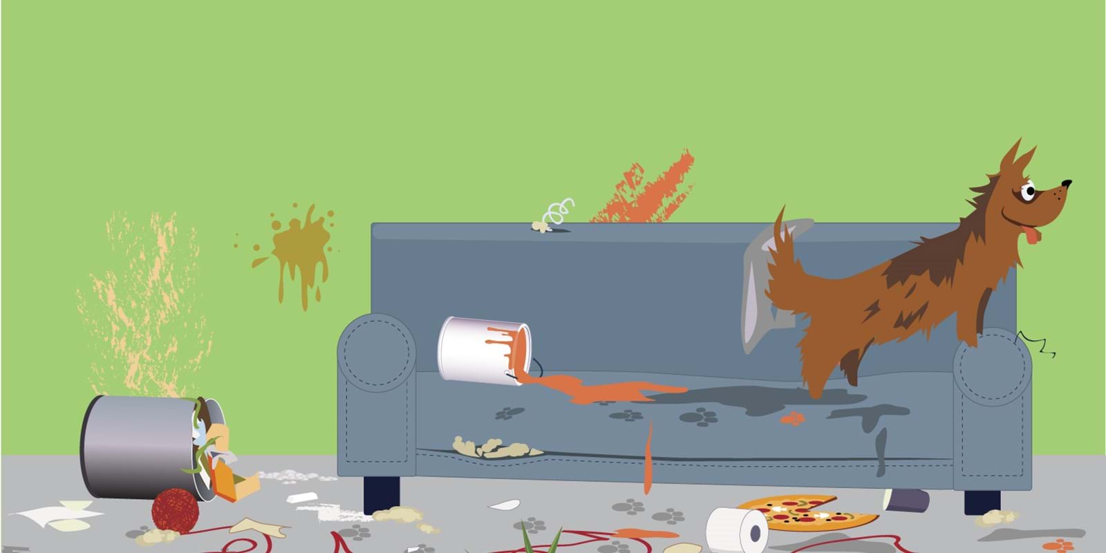 Animaux dans le logement