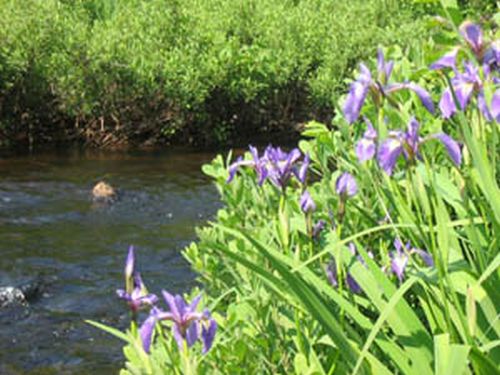 Deuxième Salon national de l'environnement, du 8 au 10 juin 2007