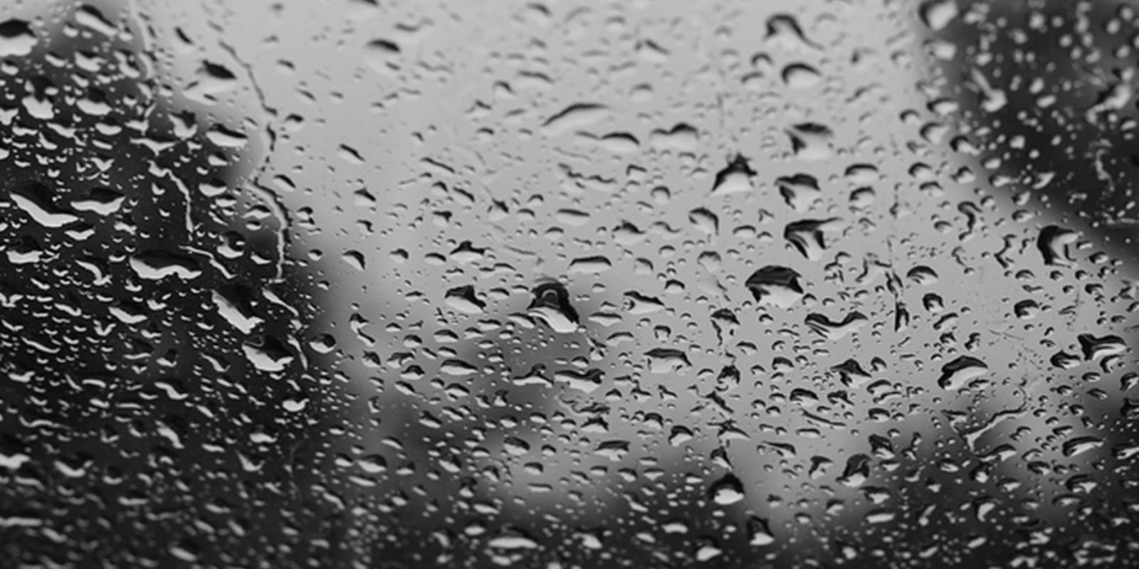 Damage caused by torrential rain: the Court dismissed the claim for damages from a co-owner