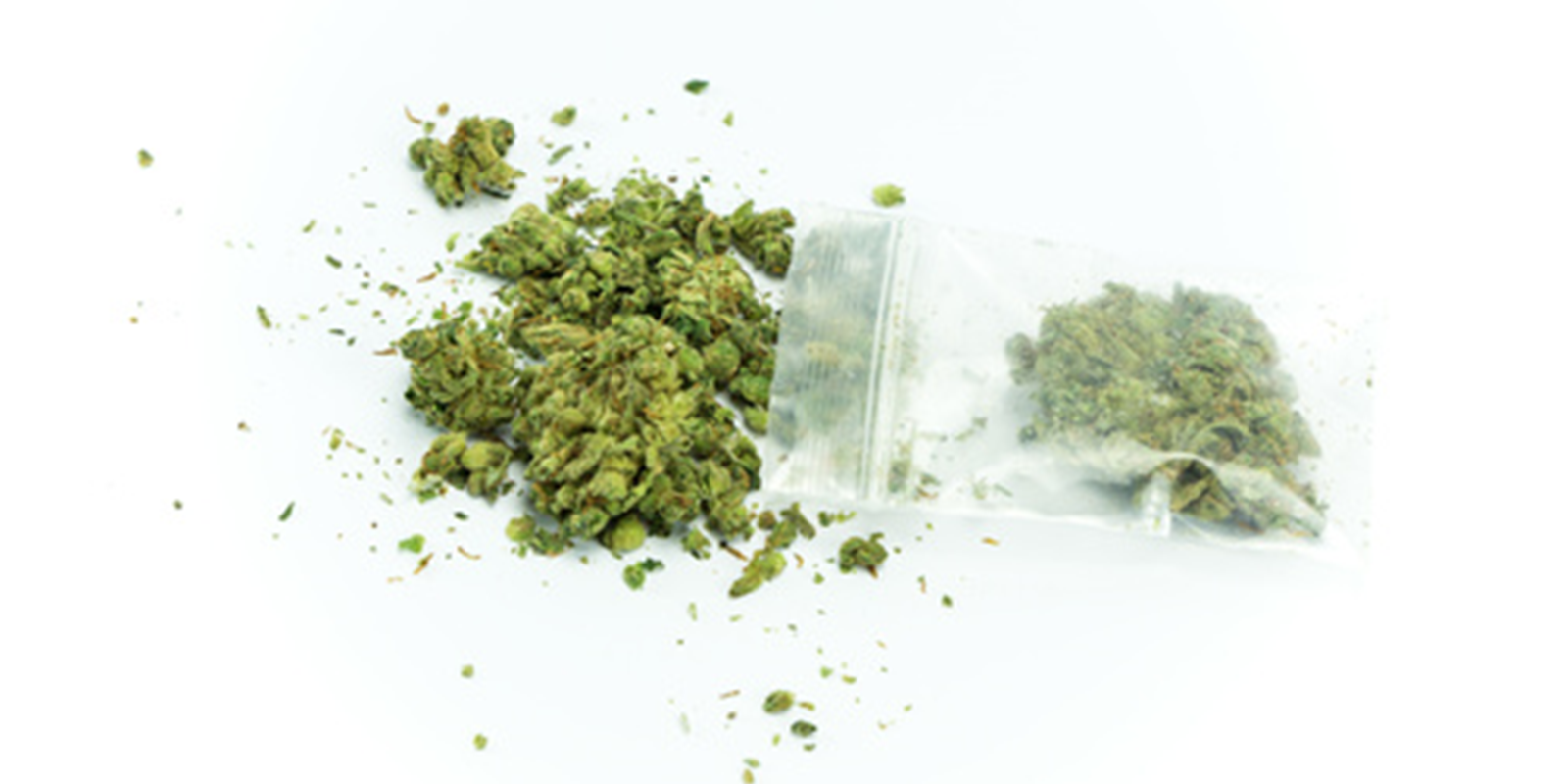 Distinction importante : avis de modification de bail normal et l'avis exceptionnel d'interdiction de fumer le cannabis autorisé par la loi