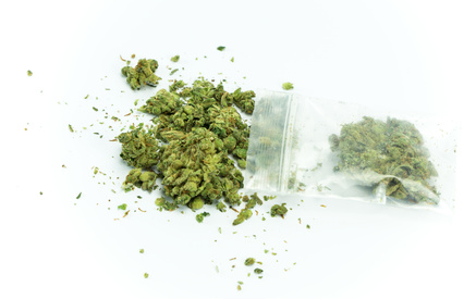 Will cannabis use be a horror for rental property owners?