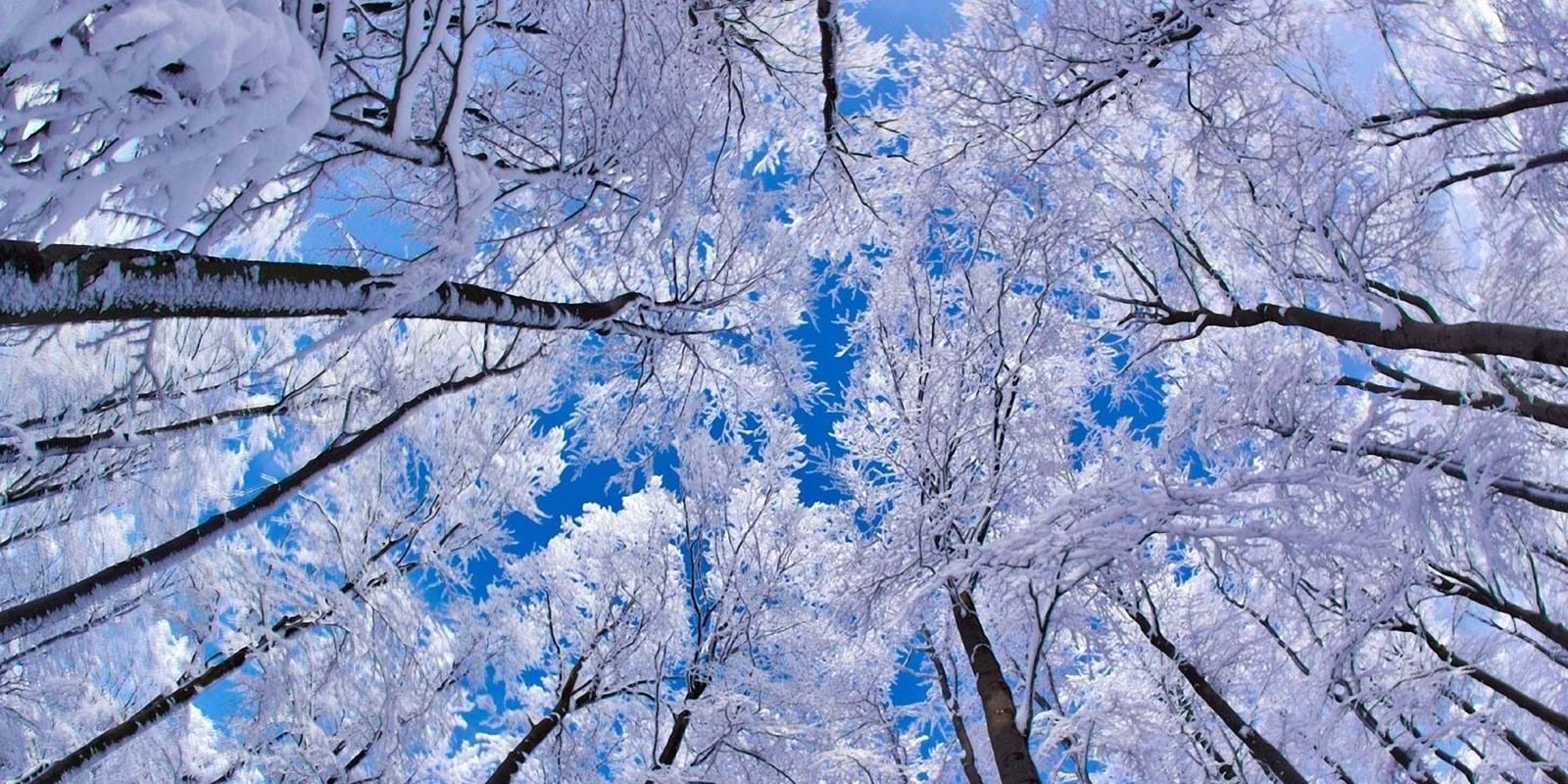 Rappel : Contrat de déneigement à…vos crayons