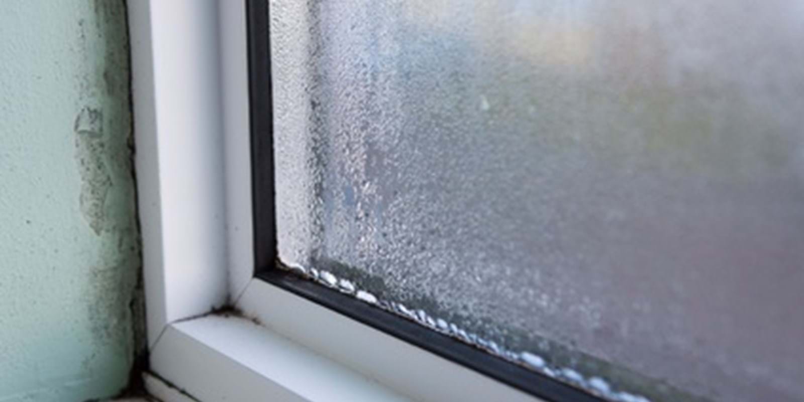 Admissibility of a report made by a mold inspector