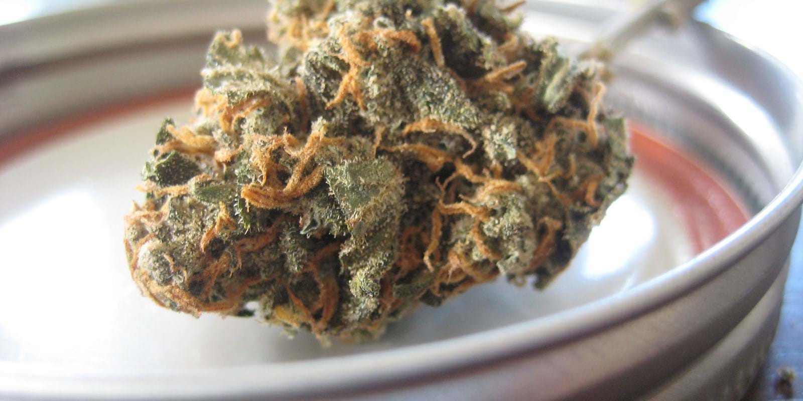 Quelle preuve le locataire doit-il fournir pour démontrer qu’il peut fumer du cannabis à cause d’une raison médicale?