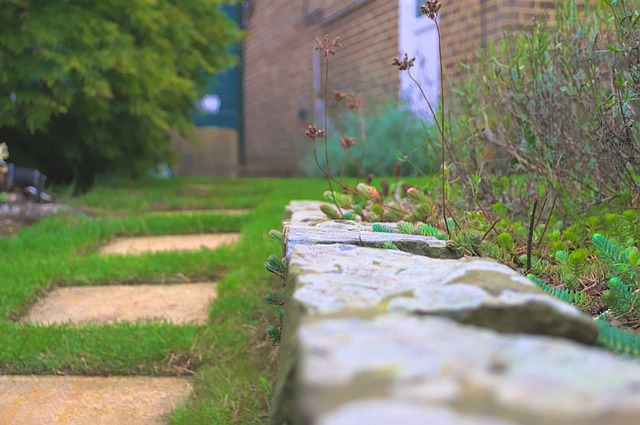 L’accès à la cour, devons nous le donner ou non?