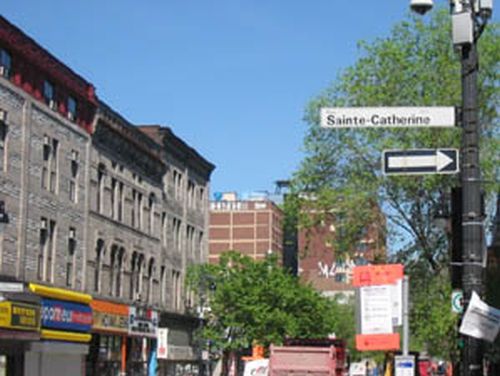 Règlement sur la propreté de l'arrondissement Ville-Marie : l'APQ accueille son application plus modérée