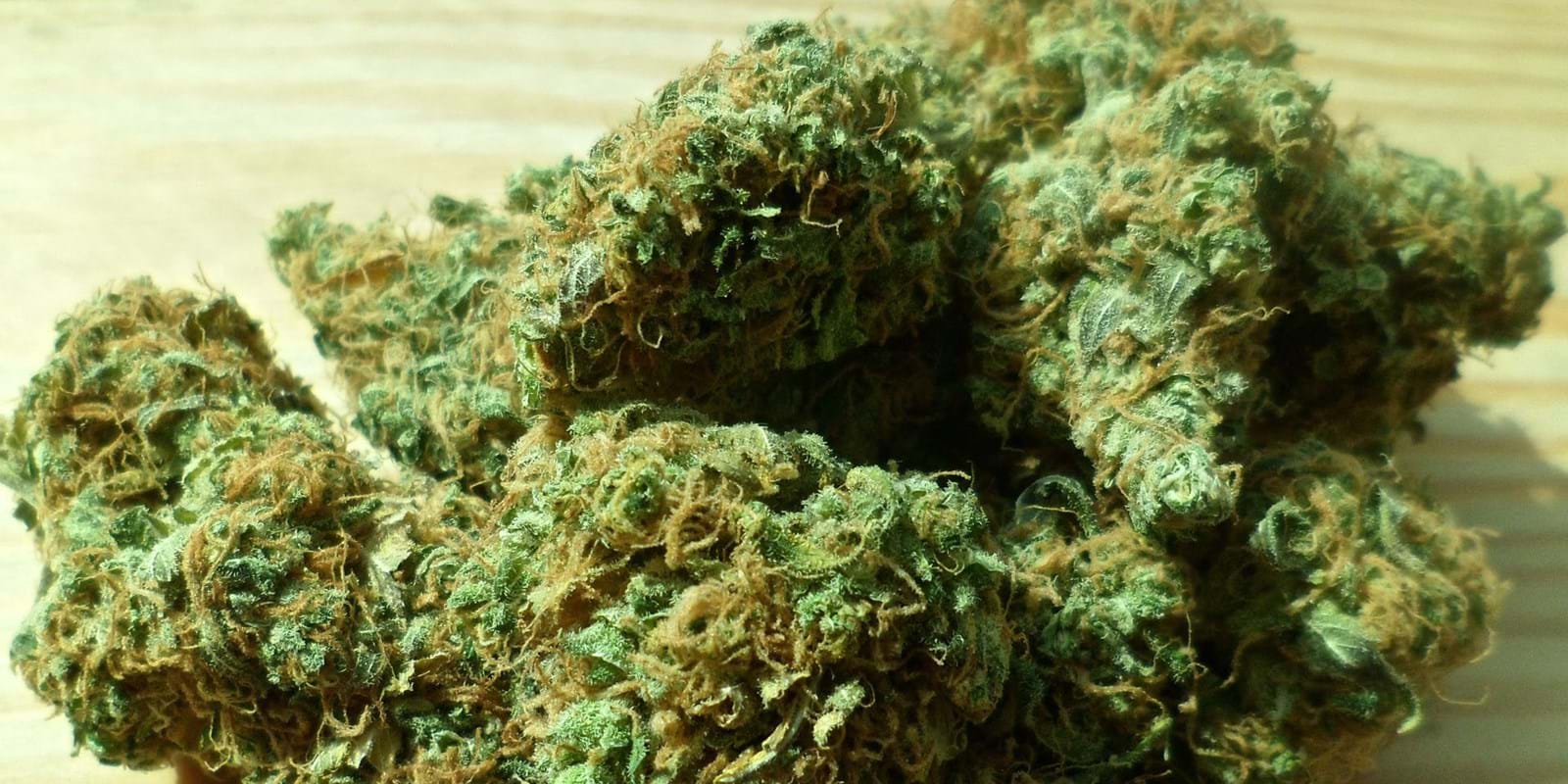 Projet de loi n°2, Loi resserrant l’encadrement du cannabis