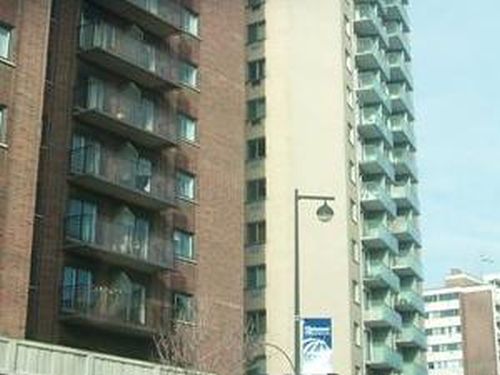 Canadian economy cooling, not stalling, in 2007