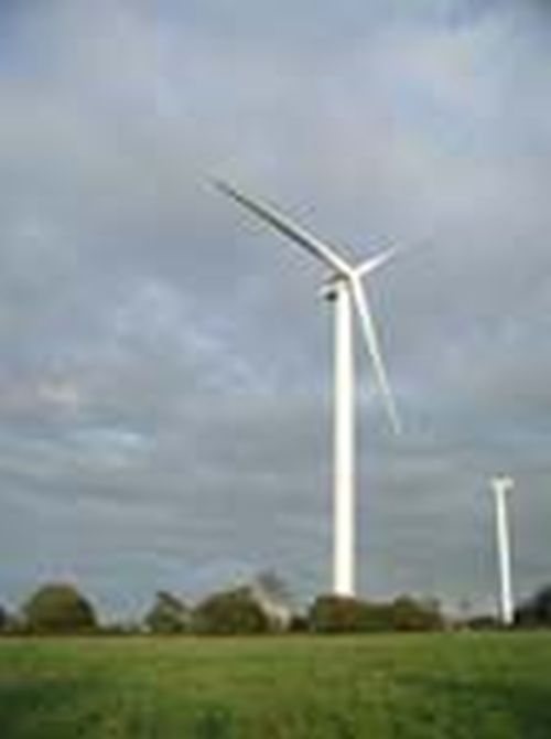 The Green Shift is far from being a matter of roofing