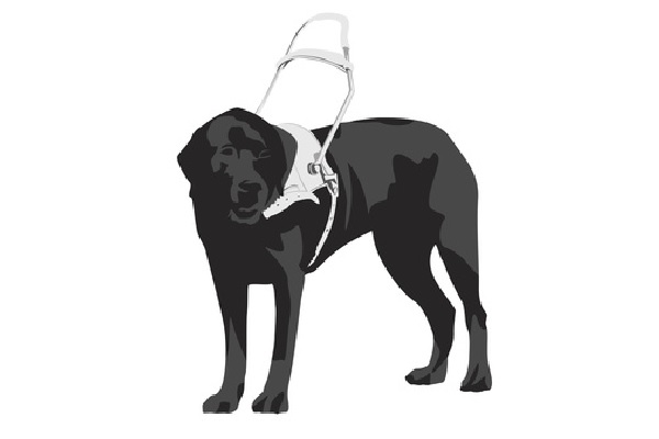 Pétition concernant les chiens guides ou d’assistance : Nos recommandations