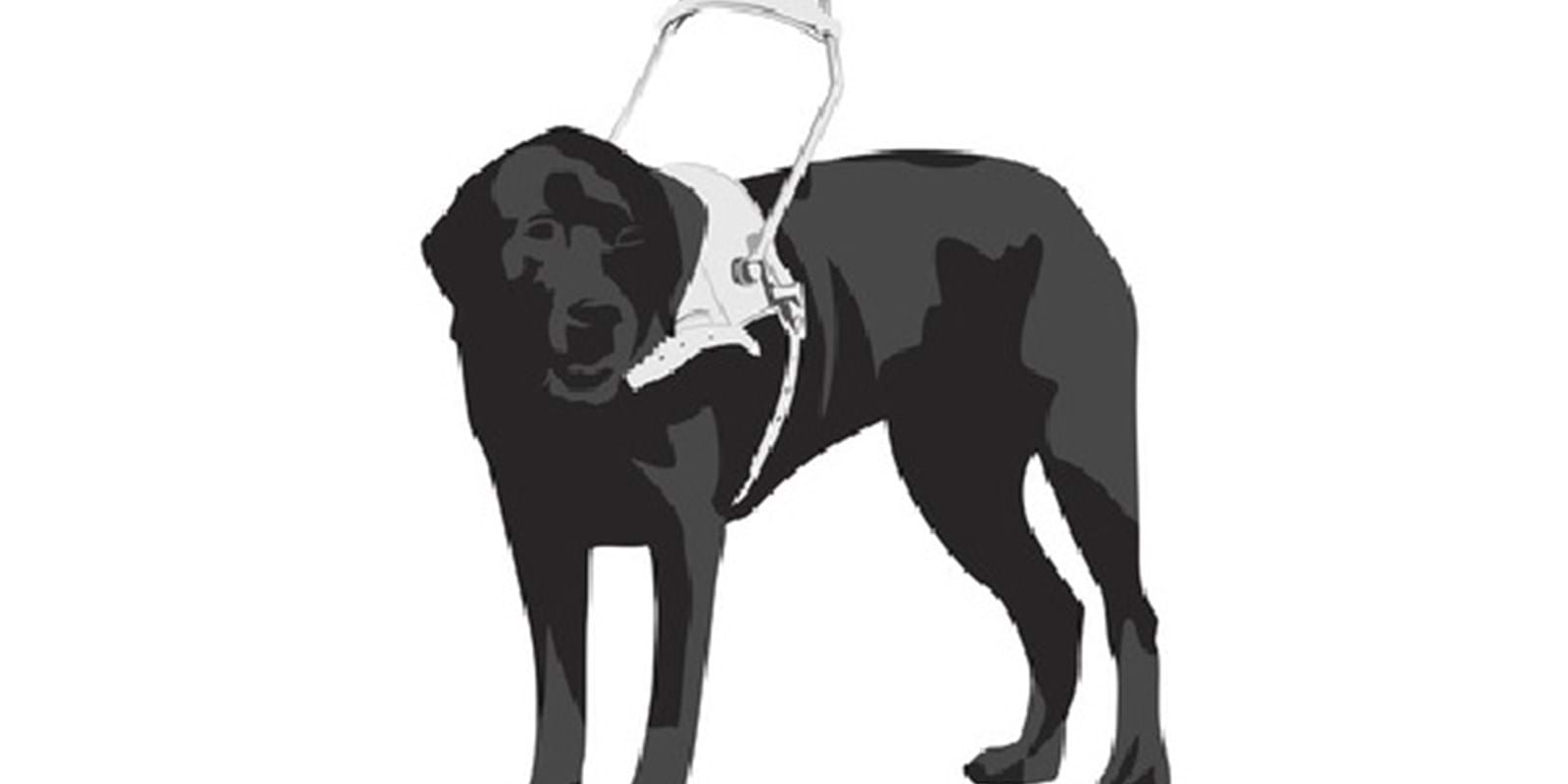 Pétition concernant les chiens guides ou d’assistance : Nos recommandations